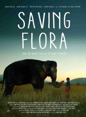 Sauvez Flora l'éléphant